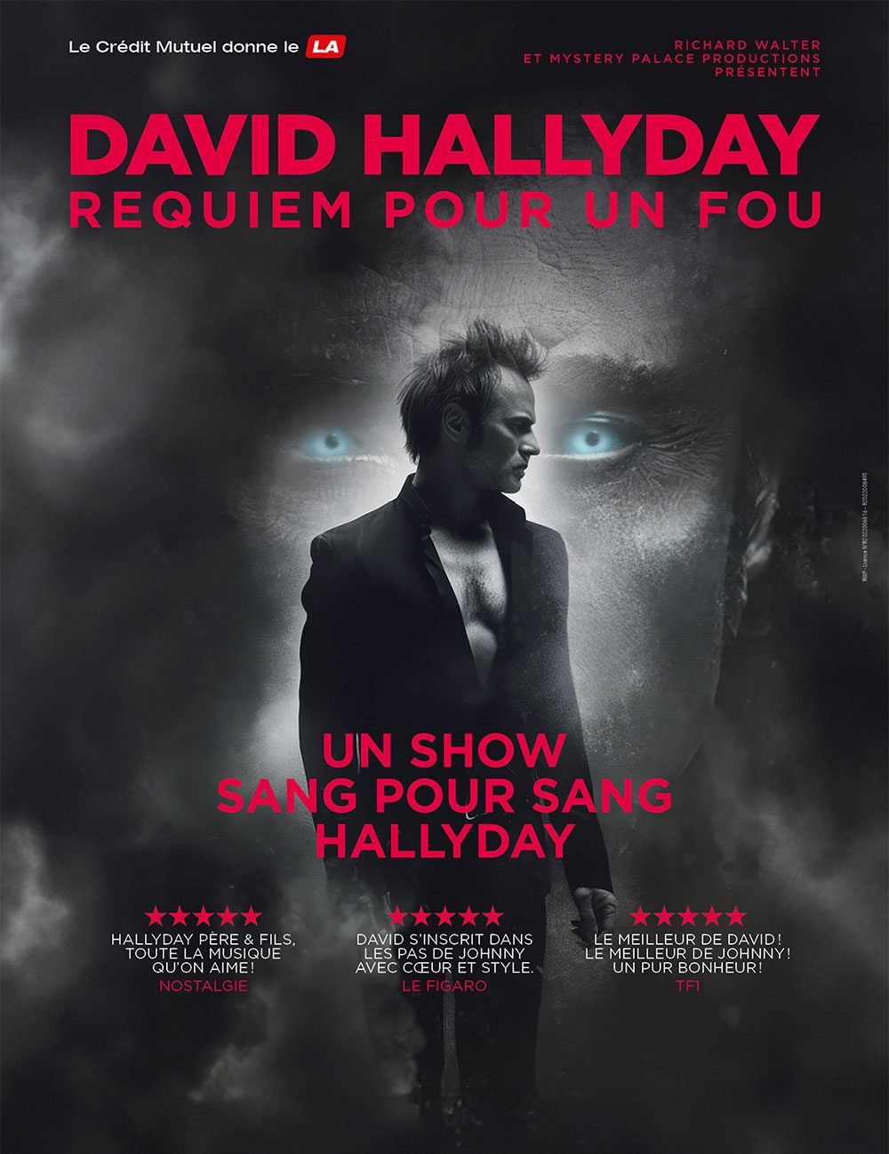 Pack VIP — Concert de David Hallyday